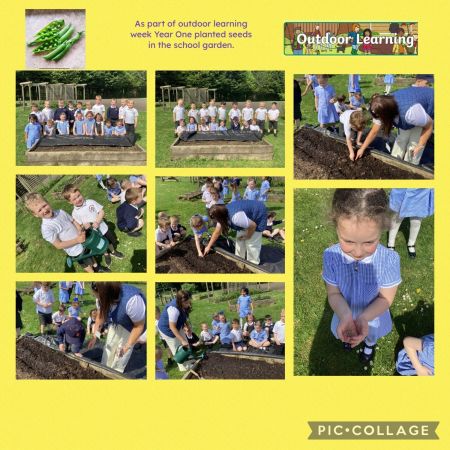 Year 1 Outdoor Learning