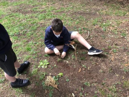 Year 5JC/CD Outdoor Learning