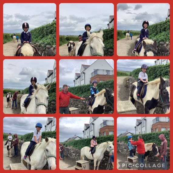 Year One Visit Causeway Fun Farm