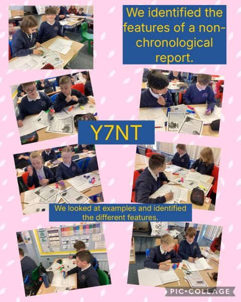 Y7NT work on non-chronological reports