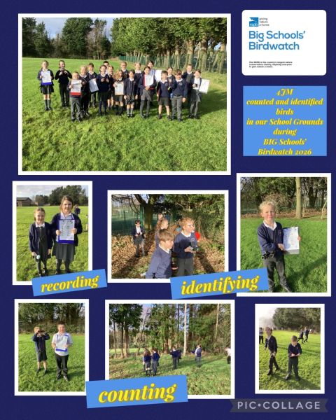 rspb BIG Schools’ Birdwatch 2026 : Year 4 : class 4JM 