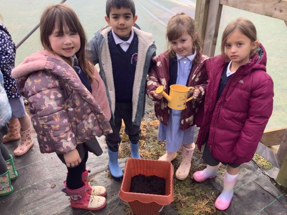 Sunflower Fun in Year 1