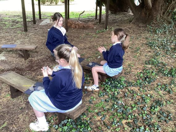 Year 6 OB/CH Clay Scarab Beetles in our Outdoor Classroom