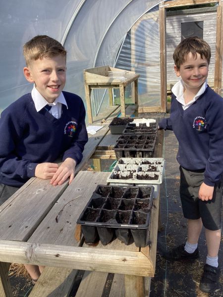 After Schools Activities: Gardening Club: Term 3 Week 1