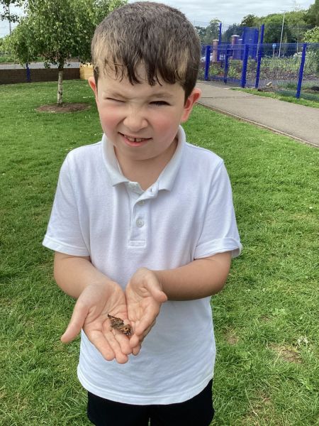 Butterfly release in Y4NMcN