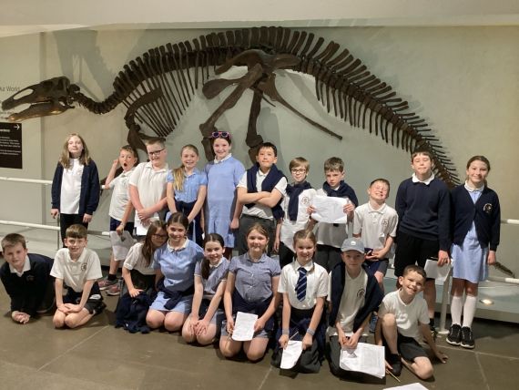 Year 6 Ulster Museum Trip